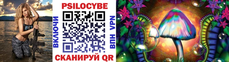 Купить  Алагир  Галлюциногенные грибы Psilocybine cubensis 